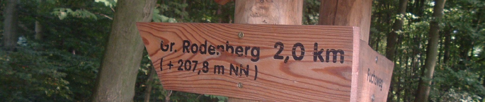 Tour Zu Fuß Sommersdorf - Lappwald Rundwanderweg 28 - Photo