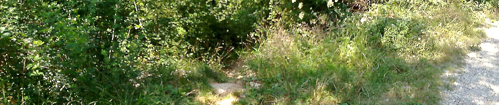 Percorso A piedi Bovezzo - Concesio (Sant'Andrea) - Sant'Onofrio - Photo