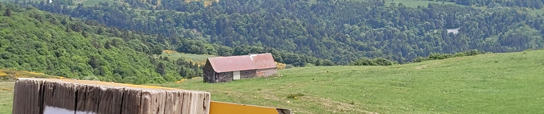 Randonnée Marche Murat-le-Quaire - 220522 Murat le Quaire / lac de Guéry - Photo