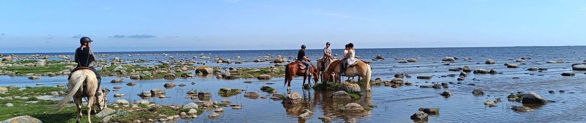 Excursión Bicicleta híbrida Unknown - Änggårde-Hemse-Gotland-Sverige - Photo