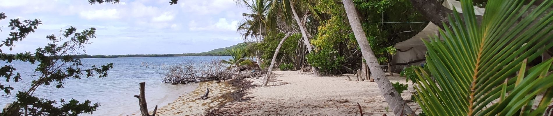 Tour Wandern Sainte-Anne - baie des anglais - Photo