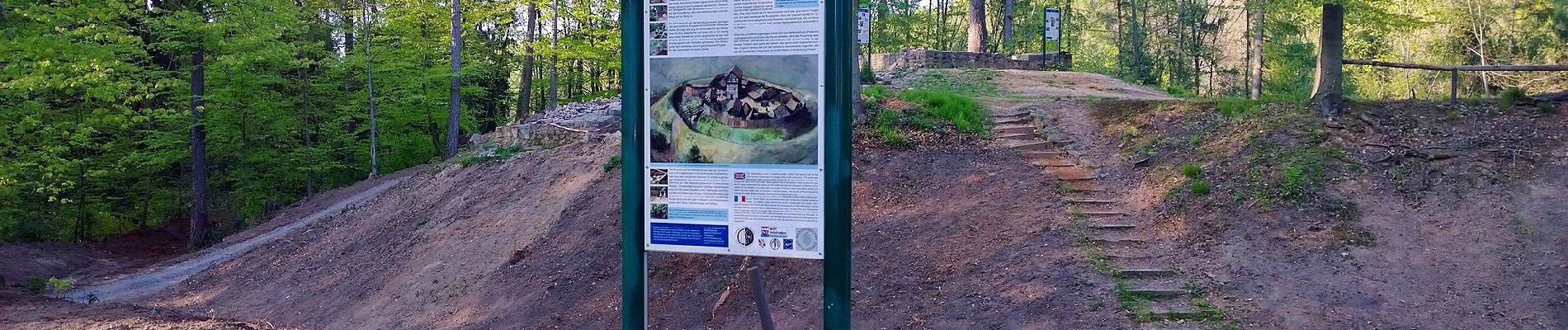 Percorso A piedi Haibach - Kulturweg Haibach - Photo