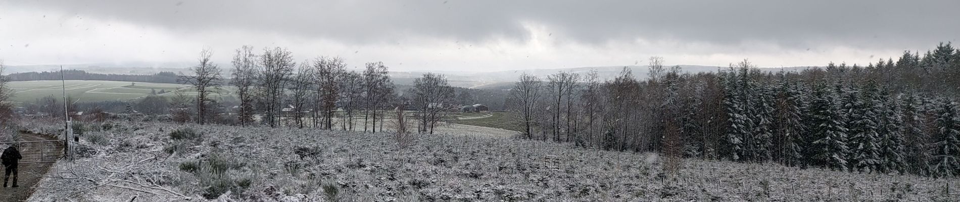 Tour Wandern Saint-Hubert - Arville 021221 - Photo