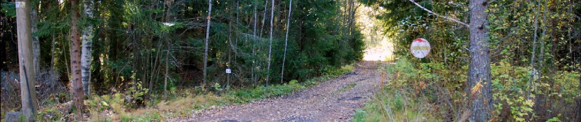 Tour Zu Fuß Espoo - Keskuspuiston kuntorata - Photo