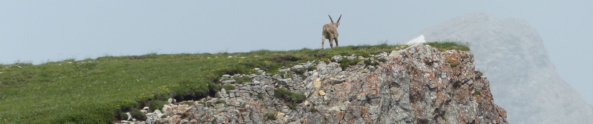 Randonnée Marche Châtillon-en-Diois -  Vallon Combau - Tête Chevaliere 13km - Photo