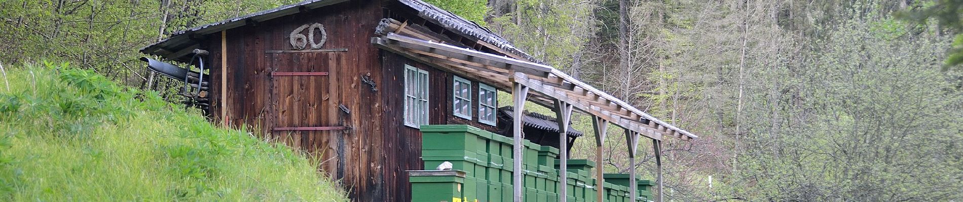 Tour Zu Fuß Pernegg an der Mur - Wanderweg 10 - Photo