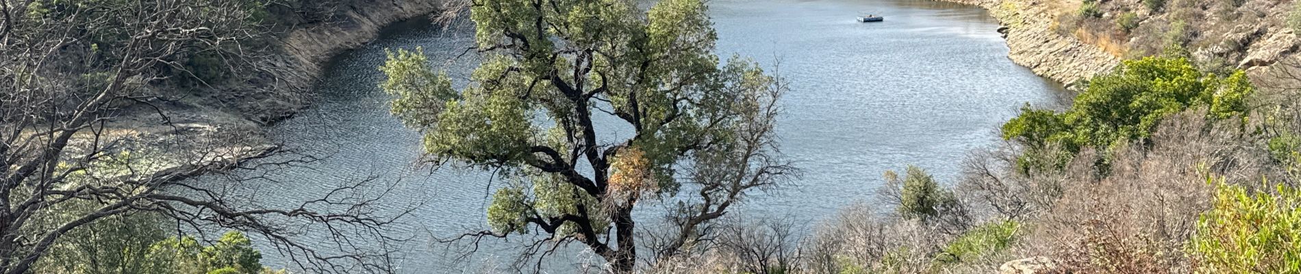 Tour Wandern La Garde-Freinet - Garde freinet rev - Photo