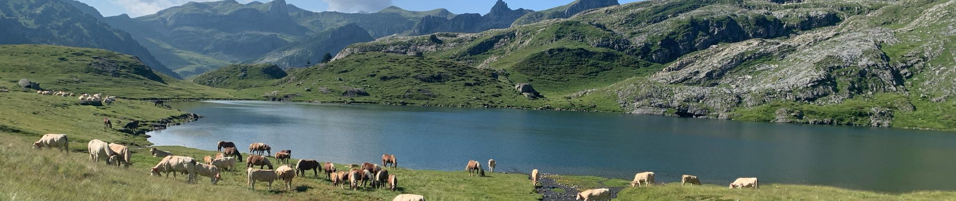 Tocht  Laruns - Gabas Etsaut  - Photo