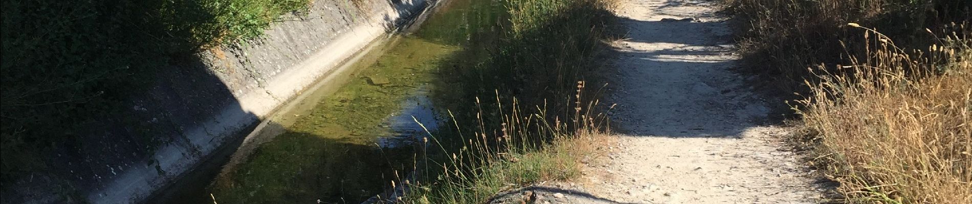 Trail Walking Mouans-Sartoux - Canal siagne juillet 2019 - Photo