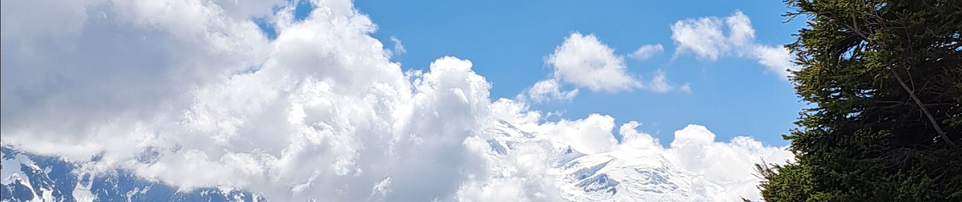 Percorso Marcia Chamonix-Mont-Blanc -  Depuis le télécabine de La Flégère jusqu'au refuge et Lac Blanc et descente bouclée par les Lacs des Chéserys - Photo