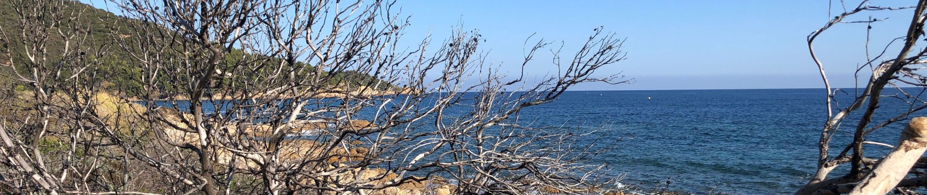 Trail Walking Ramatuelle - Cap camarat - l’escalier 12-10-2021 - Photo