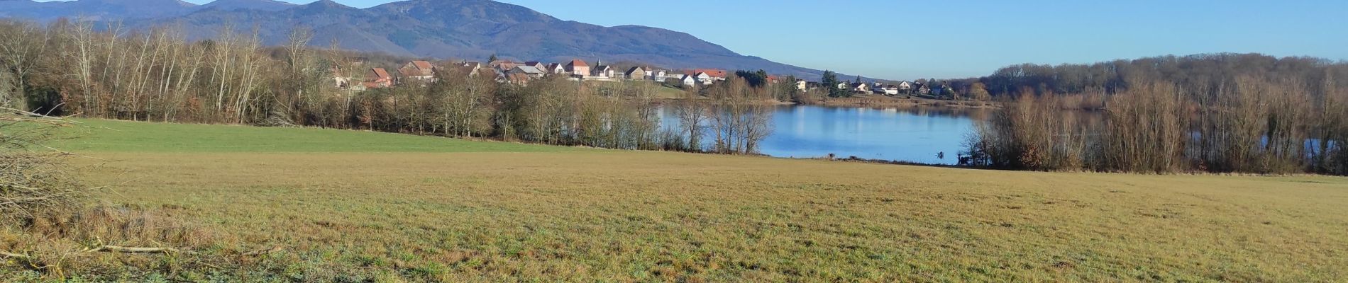 Tocht Stappen Aspach-le-Bas - Schweighouse - Photo