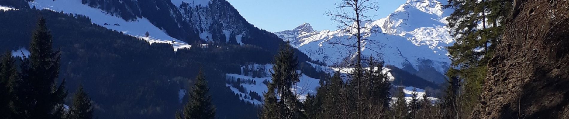 Tocht Sneeuwschoenen Manigod - Comburxe - Photo