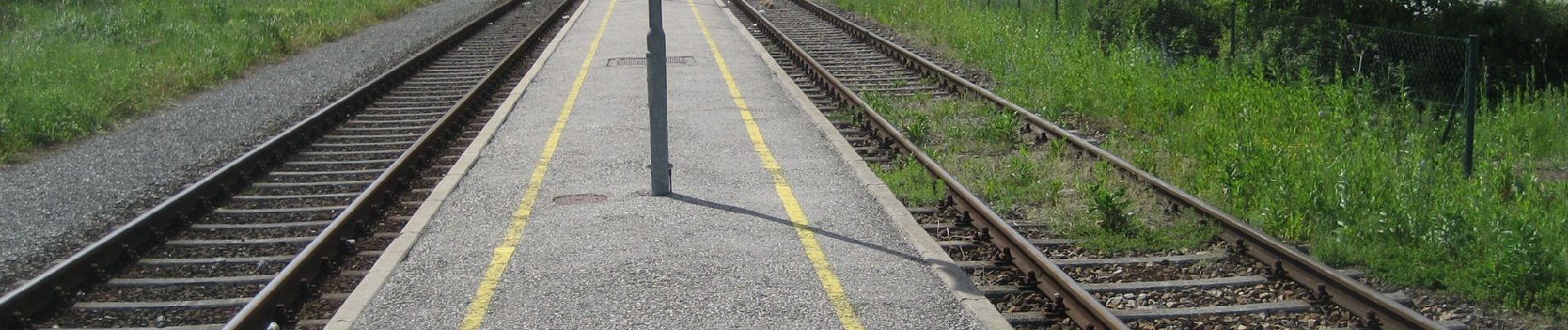 Tour Zu Fuß Baumgartenberg - Voralpenblickrunde - Photo