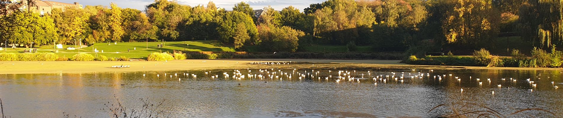 Tocht Stappen Ottignies-Louvain-la-Neuve - LLN, short one - Photo