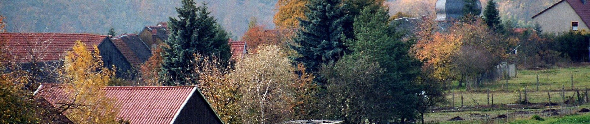 Excursión A pie Südharz - Wanderweg von Dietersdorf in's Haseltal - Photo