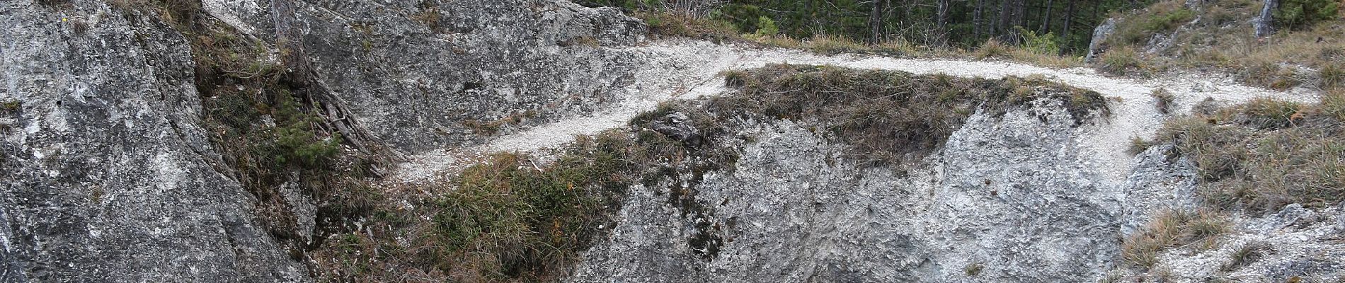 Tocht Te voet Gemeinde Pernitz - Gemeindewanderweg - Photo