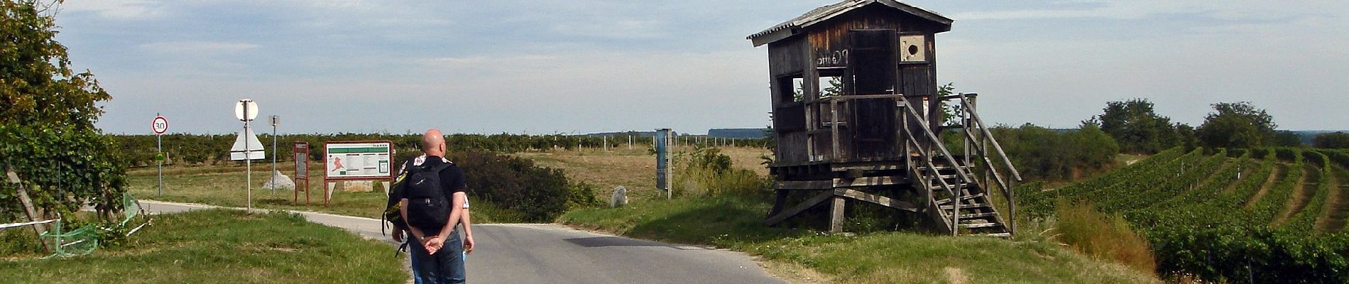 Tour Zu Fuß Ödenburg - p4 - Photo