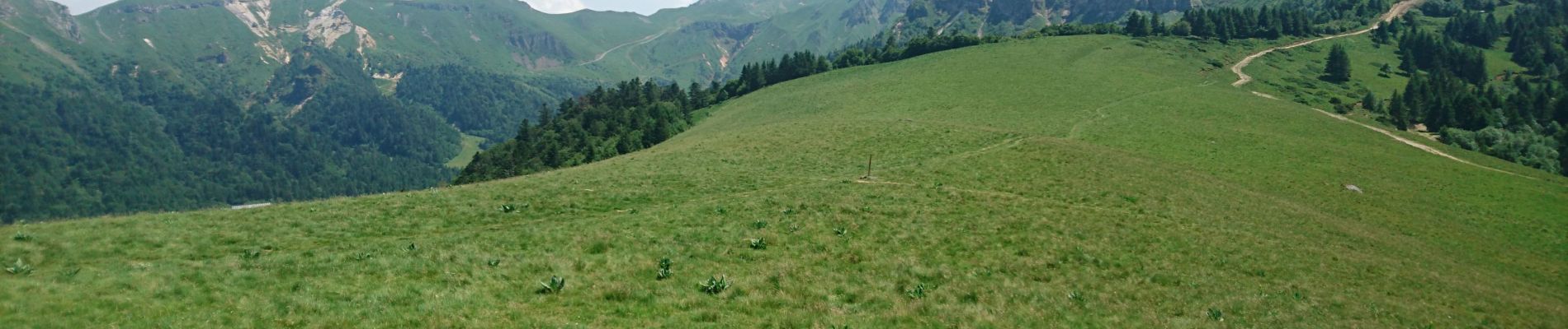 Tour Wandern Mont-Dore - le capucin aller et retour 2019-06-30 - Photo