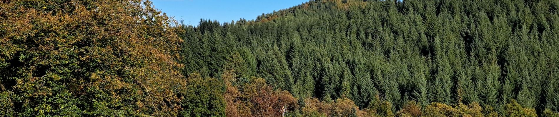 Tocht Stappen Malons-et-Elze - Serre de Barre au départ de Malons  - Photo