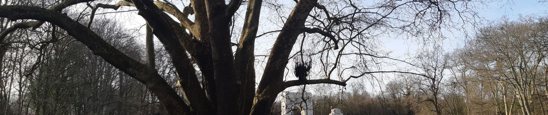 Randonnée Marche Vaucresson - monument rscadrille Lafayette et bois de la marche - Photo