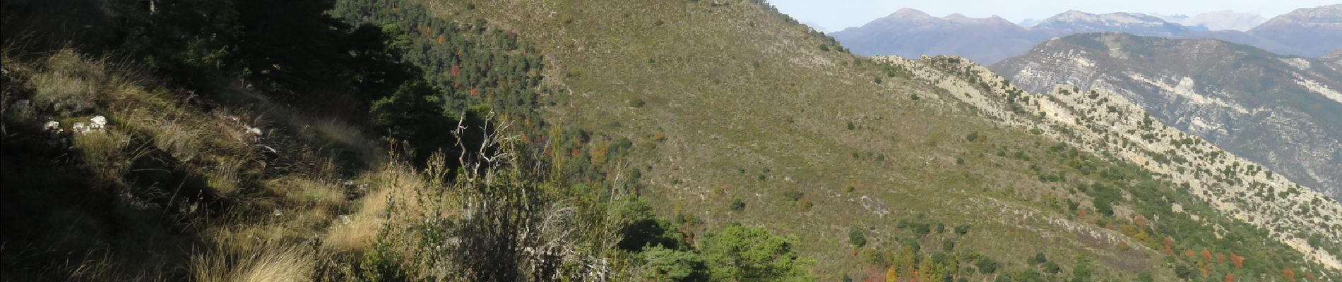 Tocht Stappen Toudon - Mont Brune depuis Toudon - Photo