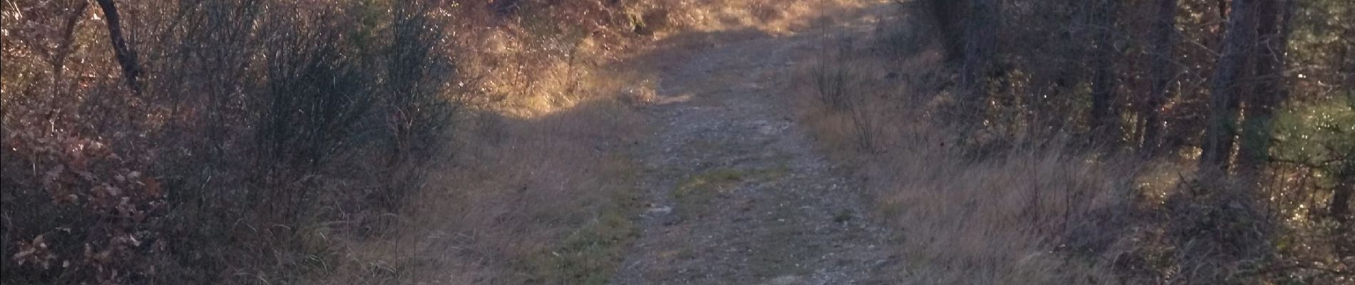 Trail Walking Puy-Saint-Martin - 26 Puy St Martin 12.01.22 - Photo