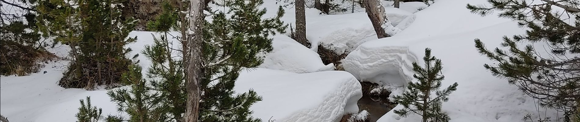 Tour Wandern Les Angles - les angles la rivière aude - Photo