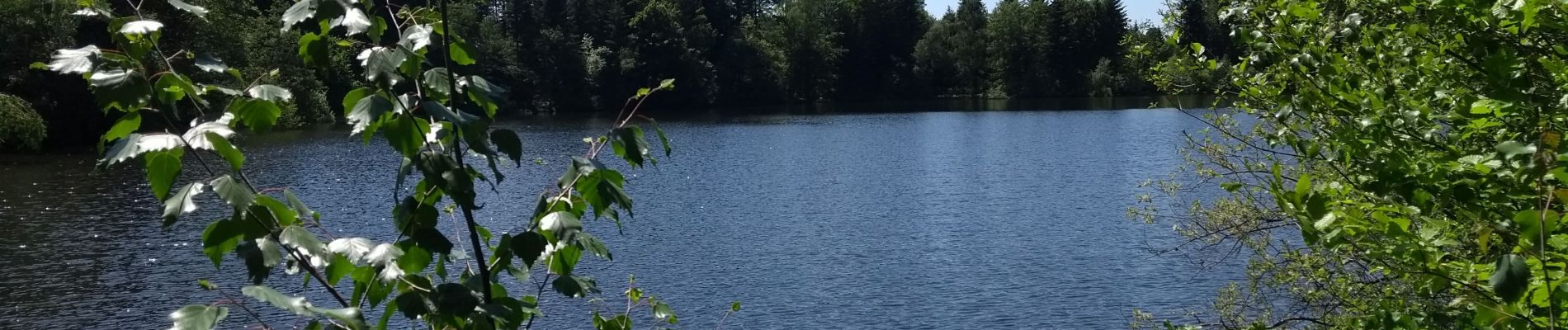 Excursión Senderismo Girmont-Val-d'Ajol - Etang Villerain-la Beuille-Etang Mollière 17-05-20 - Photo