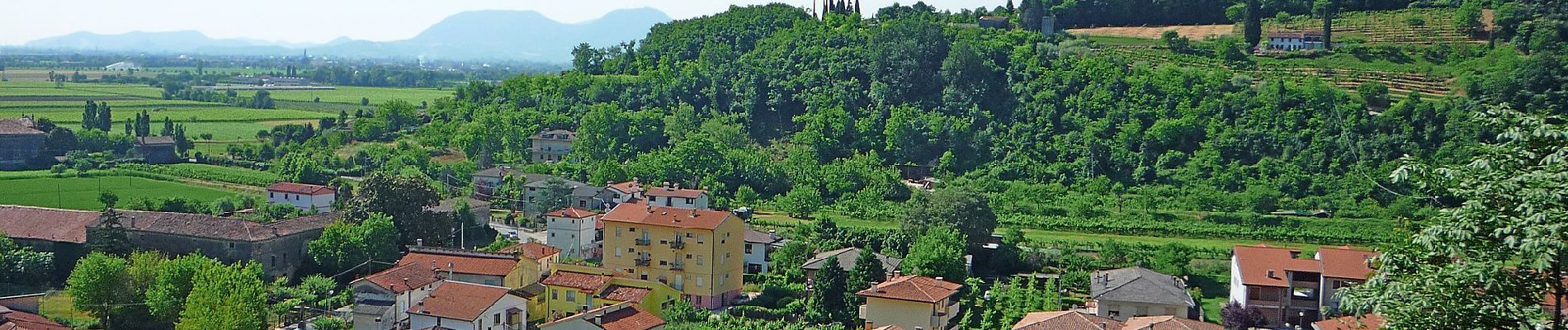 Percorso A piedi Castegnero - Sentiero del Monte delle Rose - Photo