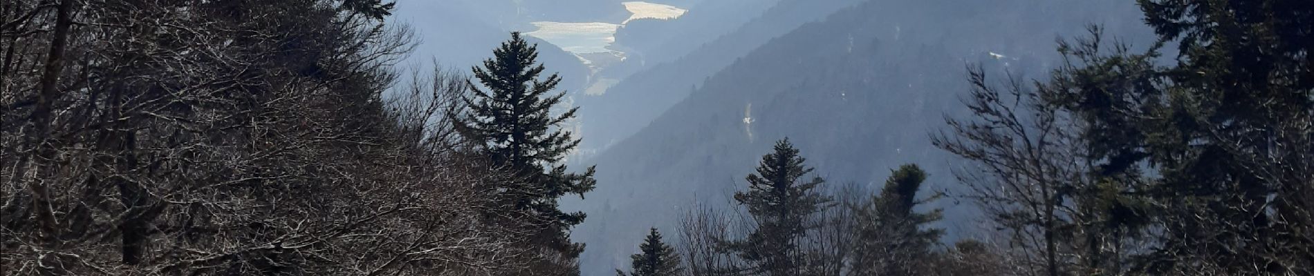 Randonnée Marche La Bresse - col de bramont - Photo