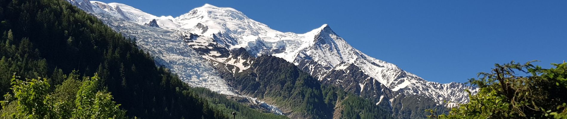 Tour Wandern Chamonix-Mont-Blanc - Cascade du Dard Glacier du Bosson - Photo