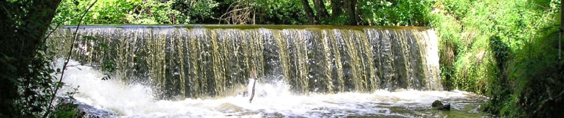 Tour Wandern Sauxillanges - La Chassagne depuis Sauxillanges - Photo