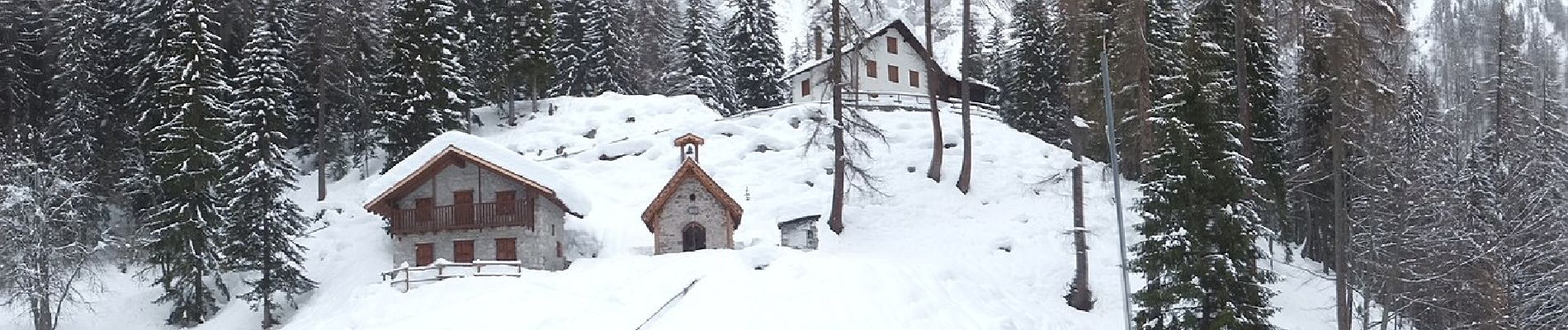 Randonnée A pied Forni di Sopra - IT-346 - Photo