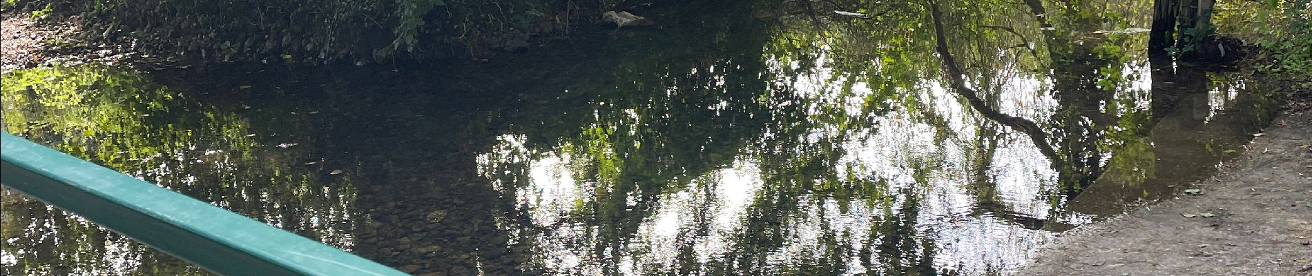 Tocht Stappen Beaumont-le-Roger - Sans nom - Photo