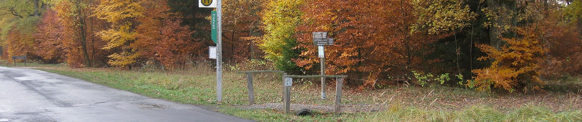 Randonnée A pied Hofgeismar - Hessenweg 6, Abschnitt Sababurg - Reinhardshagen - Photo