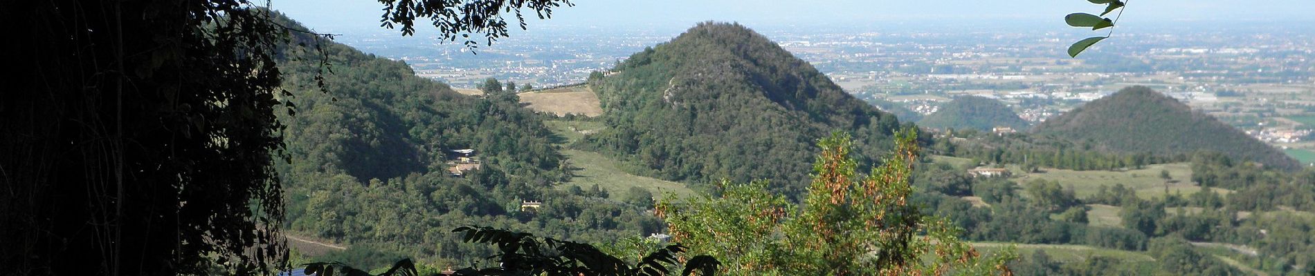 Randonnée A pied Rovolon - Sentiero del Monte della Madonna - Photo