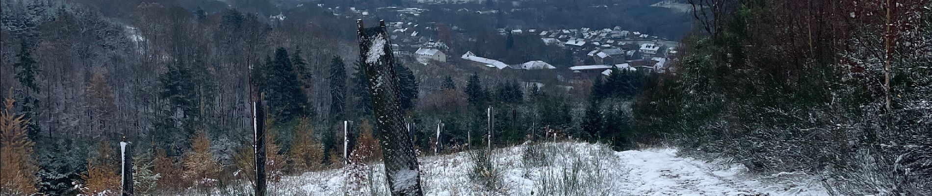 Tour Wandern Stablo - SityTrail - Extratrail_stavelot_13km_new - Photo