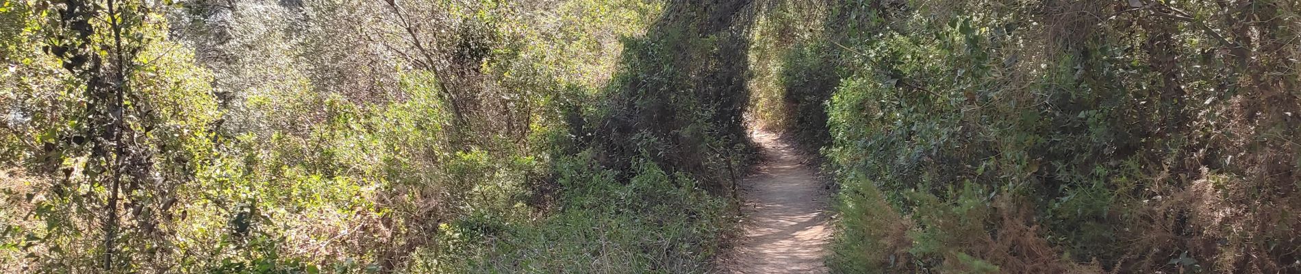 Trail Walking Martigues - Promenade sur la rive de l'étang de Berre  - Photo