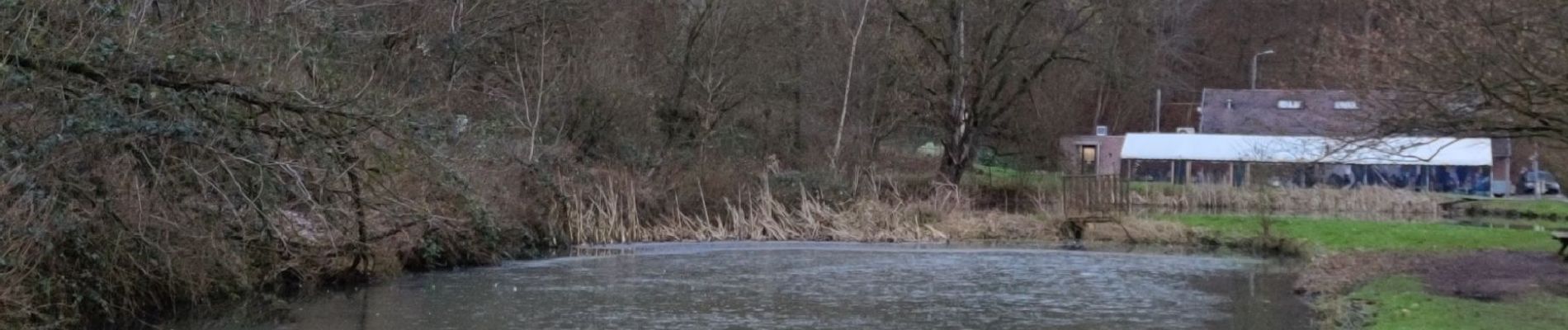 Trail Walking Visé - A travers les bois et étangs de la julienne 🥾 - Photo