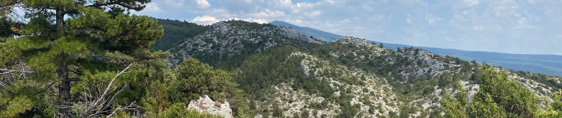 Tocht Stappen Bédoin - Rando plutôt difficile  - Photo