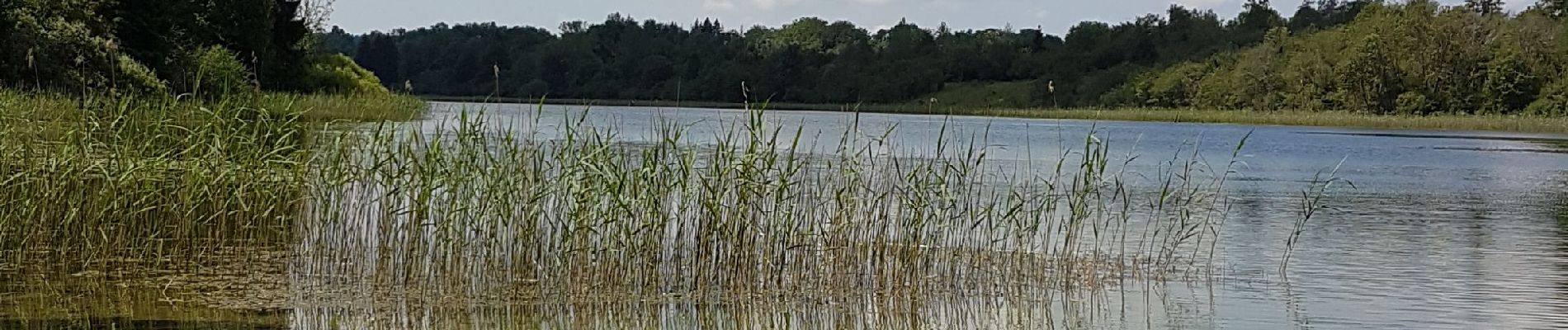 Randonnée A pied Les Crozets - Les Crozets-Lac d'Etival - Photo