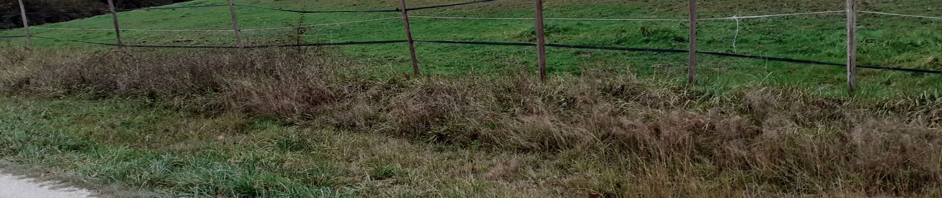 Randonnée Marche Cissac-Médoc - Cissac Fontesteau - Photo