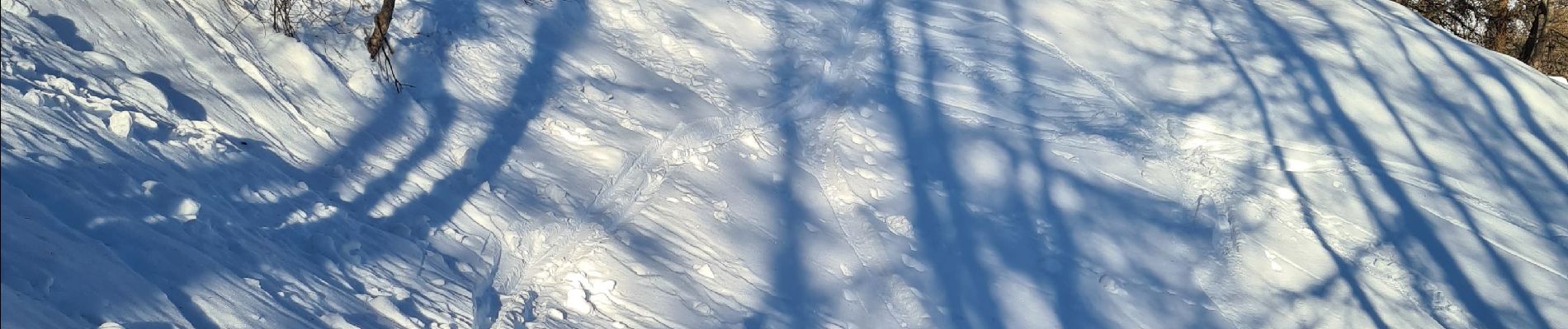 Tocht Ski randonnée Arvieux - col du crot col de la rousse - Photo