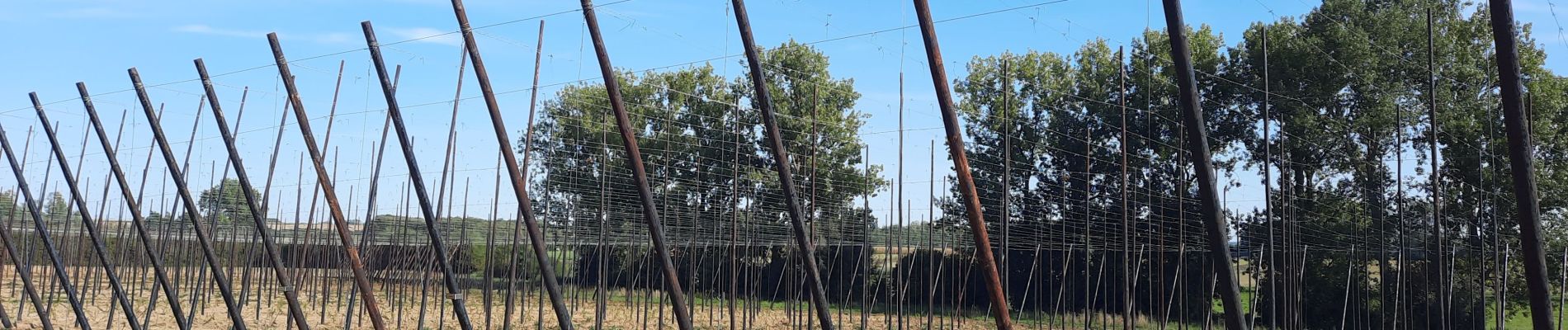 Tocht Wegfiets Leuven - vlaanderenroute  - Photo