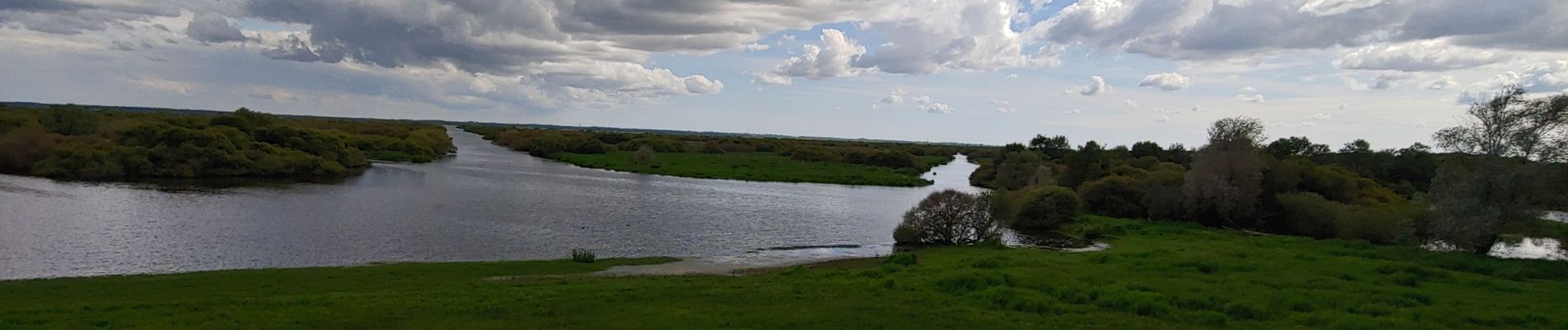 Tocht Stappen Saint-Philbert-de-Grand-Lieu - grand lieu - Photo