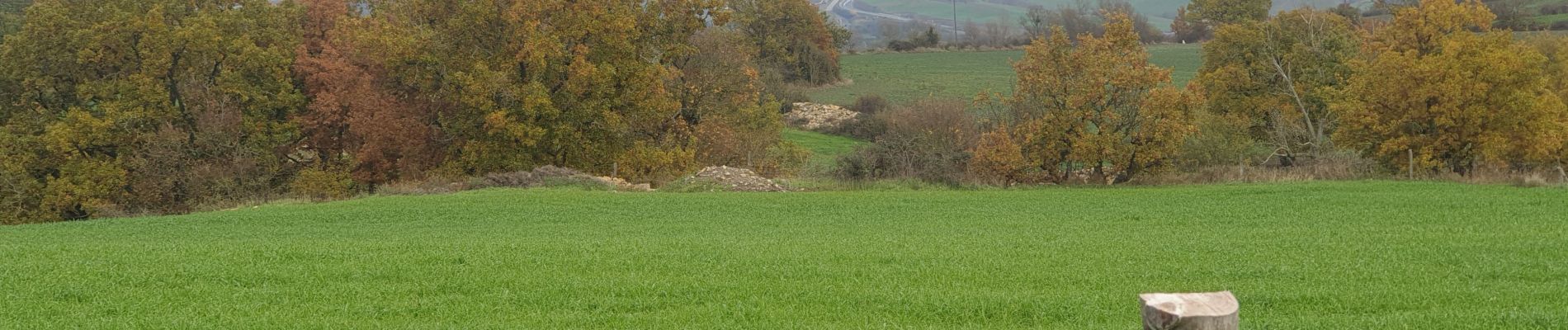 Tour Wandern Saint-Georges-de-Luzençon - st georges de luzencon in live - Photo