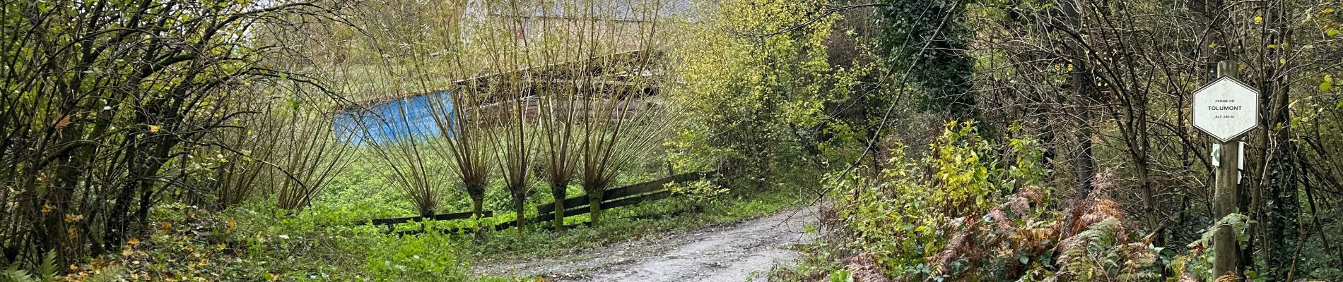 Percorso Marcia Hamoir - Comblain la Tour - Esneux haut 18,1 km - Photo