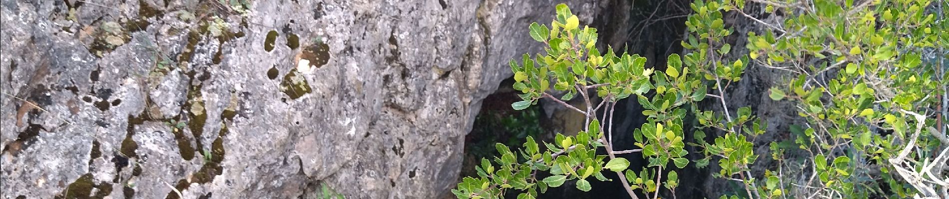 Tocht Stappen Vallon-Pont-d'Arc - 26 grottes deroc Chauvet zel - Photo