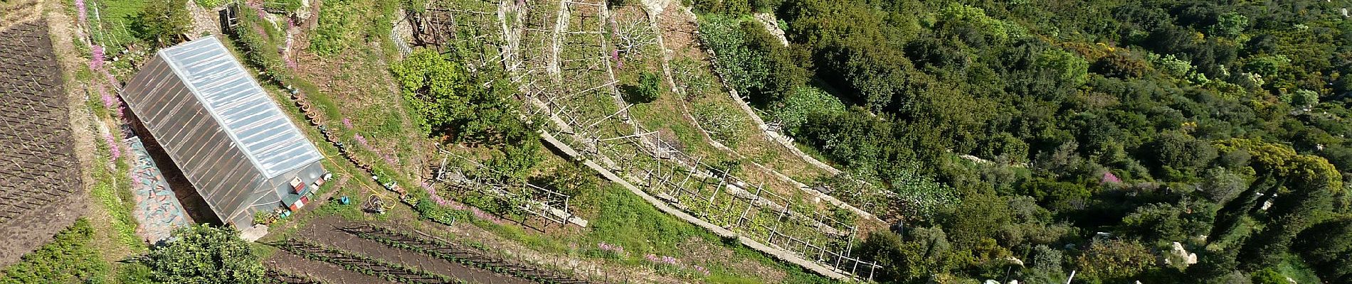 Tour Zu Fuß Unknown - Ιβήρων - Φιλοθέου - Σιμονοπετρα - Photo